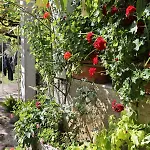 With Parking Space Trpanj, Peljesac - 10111 Apartment