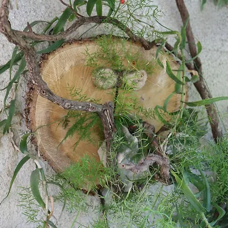 With Parking Space Trpanj, Peljesac - 10111 아파트